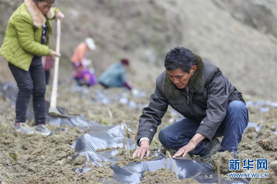 （新春走基层）（12）重庆黔江：土家三老汉 一台“扶贫戏”