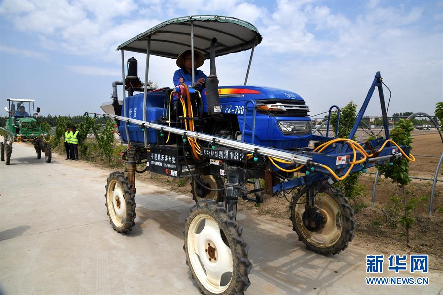 （在习近平新时代中国特色社会主义思想指引下——新时代新作为新篇章·习近平总书记关切事·图文互动）（8）新农事、新希望——夏收前田间新动态扫描