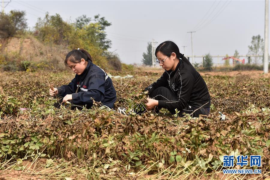 （在习近平新时代中国特色社会主义思想指引下——新时代新作为新篇章·习近平总书记关切事·图文互动）（5）在高质量转型发展中“晋”快奔跑