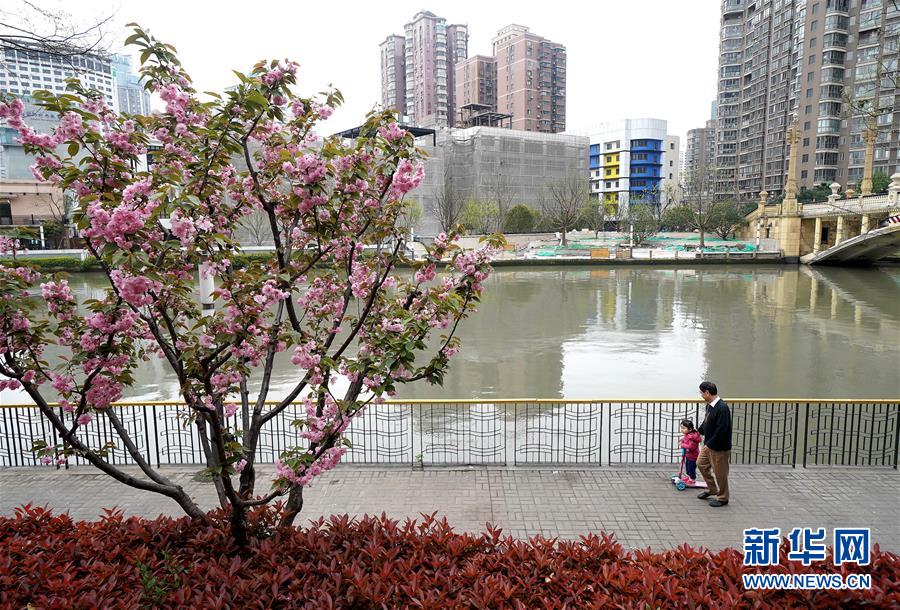 （新华全媒头条·走向我们的小康生活·图文互动）（12）城市，让人民生活更美好