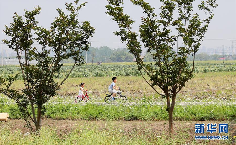 （新华全媒头条·走向我们的小康生活·图文互动）（14）城市，让人民生活更美好