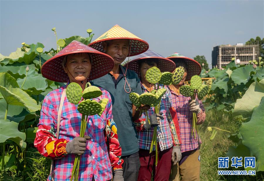 （新时代文明实践·图文互动）（3）文明之花别样红——来自广东博罗的新时代文明实践报告