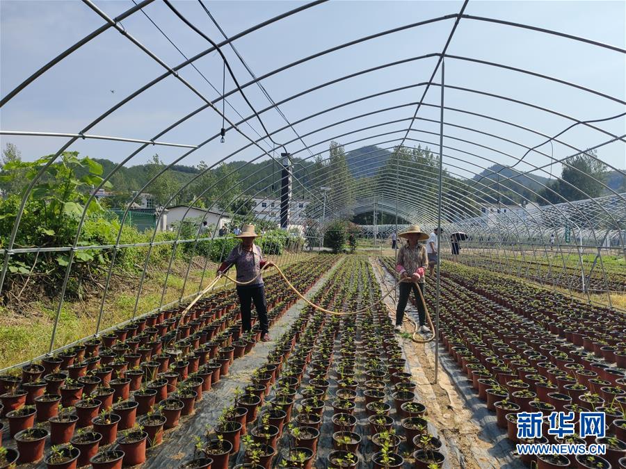 （决战决胜脱贫攻坚·图文互动）（3）安居乐业并重，搬迁脱贫同步——湖北88万搬迁群众脱贫观察 