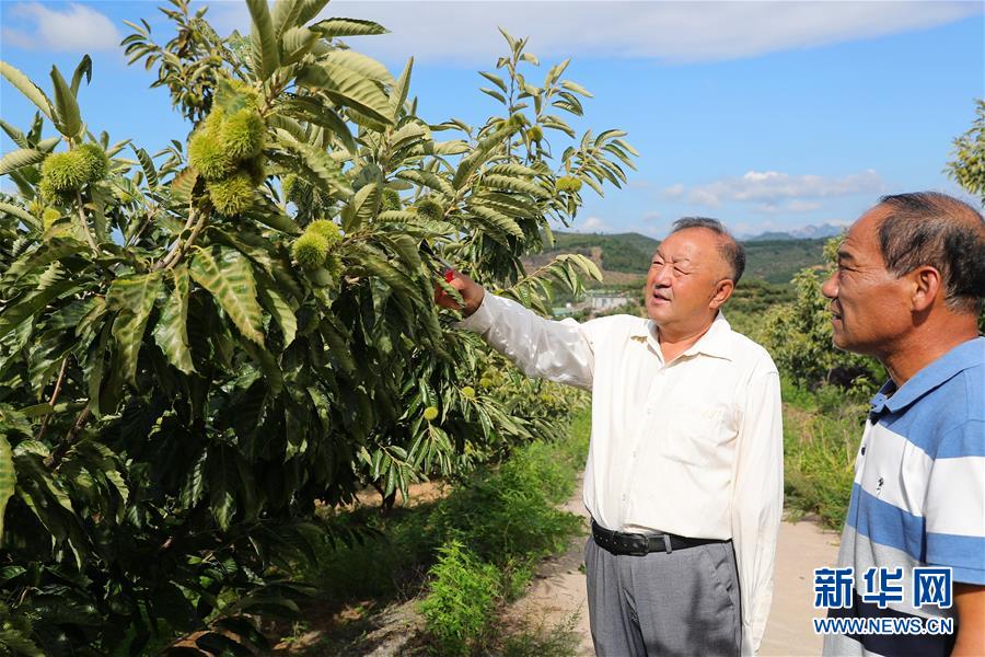 （新华全媒头条·走向我们的小康生活·图文互动）（11）长城脚下，小康村串成“珍珠链”