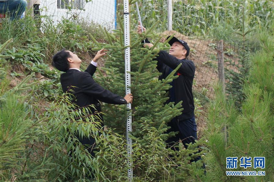 （决战决胜脱贫攻坚·图文互动）（2）甘肃定西黄土高坡上，有片“福州林”