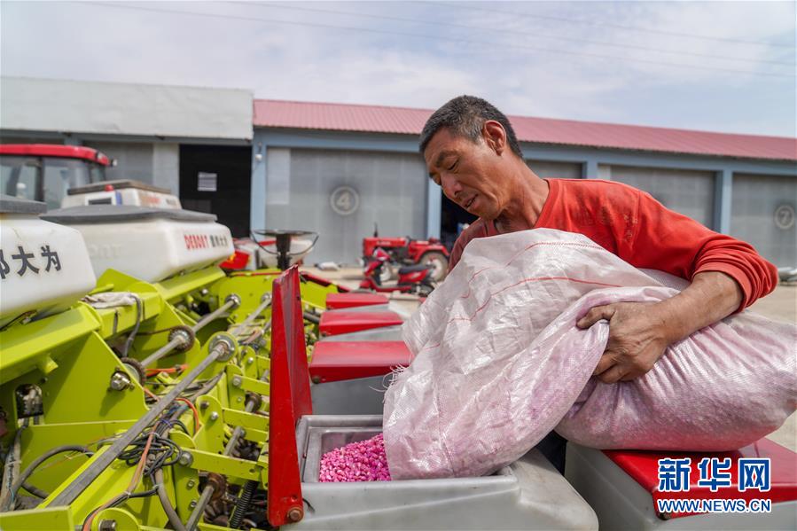 （在习近平新时代中国特色社会主义思想指引下——新时代新作为新篇章·习近平总书记关切事·图文互动）（8）让每一寸耕地都成为丰收的沃土——我国加强耕地?；ね平?ldquo;藏粮于地”