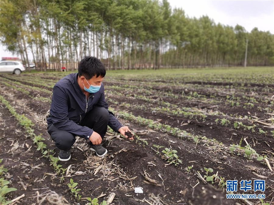 （在习近平新时代中国特色社会主义思想指引下——新时代新作为新篇章·习近平总书记关切事·图文互动）（6）让每一寸耕地都成为丰收的沃土——我国加强耕地?；ね平?ldquo;藏粮于地”