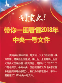 划重点！带你一图看懂2018年中央一号文件