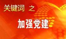 王京清：加强党建必须倍加珍惜、始终坚持、不断发展