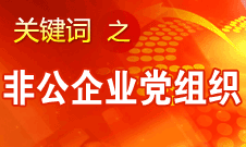 王京清：非公企业建立党组织服务企业发展、服务员工