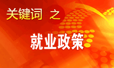 杨志明：要走出一条量的增长和质的提高同步发展的就业新路