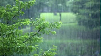 江苏“入梅” 预计今年梅雨期降水量接近常年