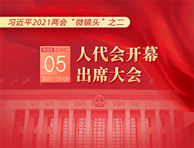 习近平2021两会“微镜头”之二：3月5日 人代会开幕，出席大会