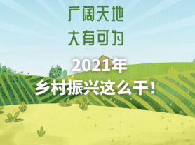 广阔天地 大有可为 2021年乡村振兴这么干！