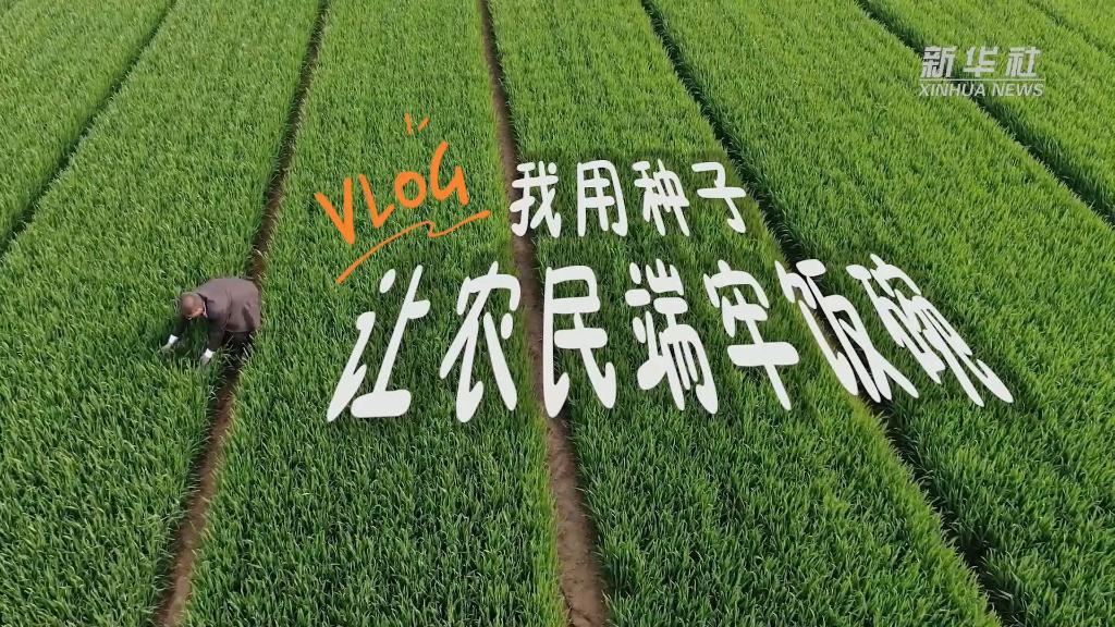 新华全媒+｜感受小康VLOG｜我用种子让农民端牢饭碗