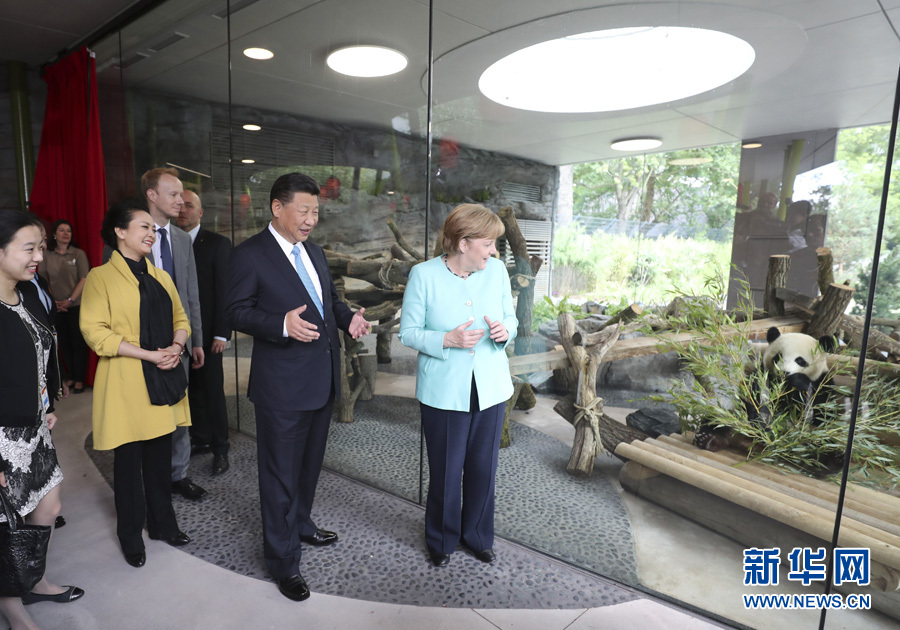 7月5日，国家主席习近平同德国总理默克尔共同出席柏林动物园大熊猫馆开馆仪式。这是习近平和夫人彭丽媛同默克尔在大熊猫馆。 新华社记者马占成 摄 