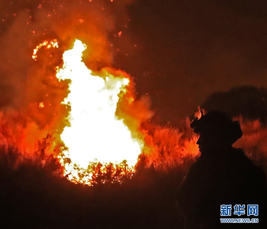 （国际）（5）美国加州山火肆虐