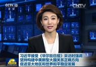 习近平接受《华尔街日报》采访